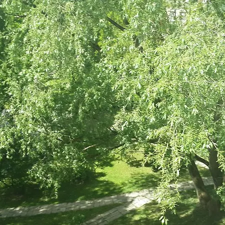 Dzelzavas * Riga